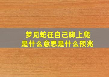 梦见蛇往自己脚上爬是什么意思是什么预兆