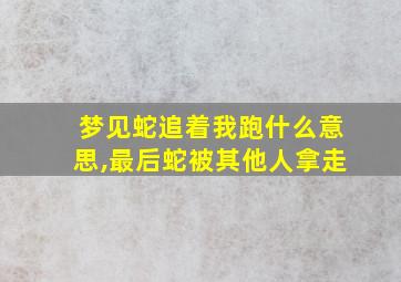 梦见蛇追着我跑什么意思,最后蛇被其他人拿走