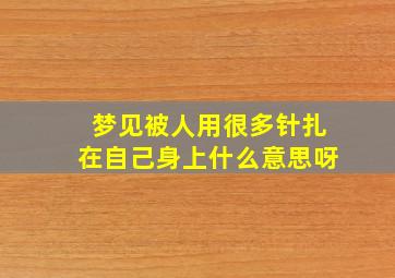 梦见被人用很多针扎在自己身上什么意思呀