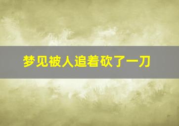 梦见被人追着砍了一刀