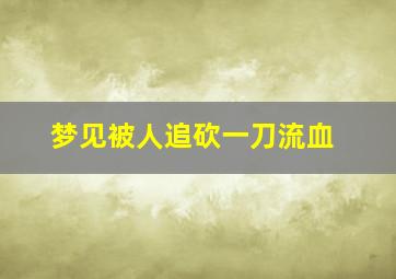 梦见被人追砍一刀流血