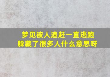 梦见被人追赶一直逃跑躲藏了很多人什么意思呀