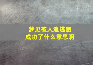 梦见被人追逃跑成功了什么意思啊