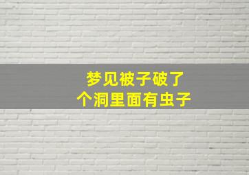 梦见被子破了个洞里面有虫子