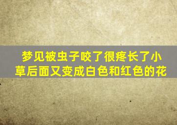 梦见被虫子咬了很疼长了小草后面又变成白色和红色的花