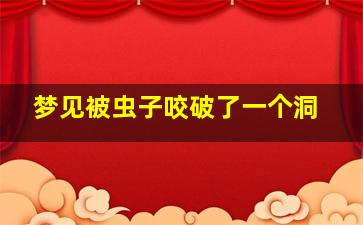 梦见被虫子咬破了一个洞