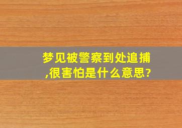 梦见被警察到处追捕,很害怕是什么意思?