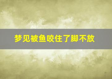 梦见被鱼咬住了脚不放