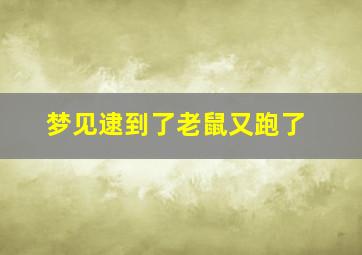 梦见逮到了老鼠又跑了