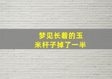 梦见长着的玉米杆子掉了一半