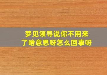 梦见领导说你不用来了啥意思呀怎么回事呀