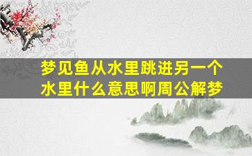 梦见鱼从水里跳进另一个水里什么意思啊周公解梦