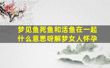 梦见鱼死鱼和活鱼在一起什么意思呀解梦女人怀孕