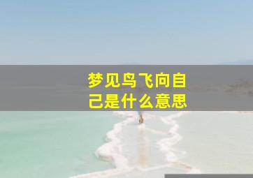 梦见鸟飞向自己是什么意思