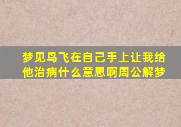 梦见鸟飞在自己手上让我给他治病什么意思啊周公解梦