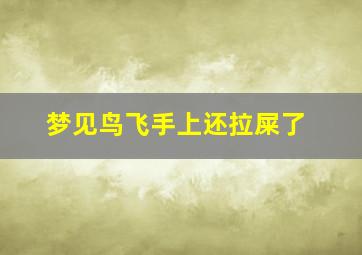 梦见鸟飞手上还拉屎了