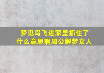 梦见鸟飞进家里抓住了什么意思啊周公解梦女人