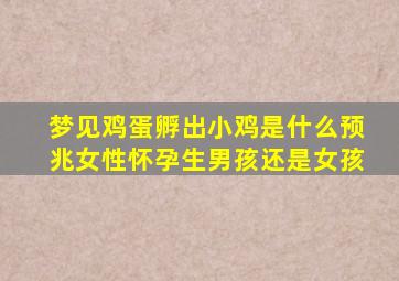 梦见鸡蛋孵出小鸡是什么预兆女性怀孕生男孩还是女孩