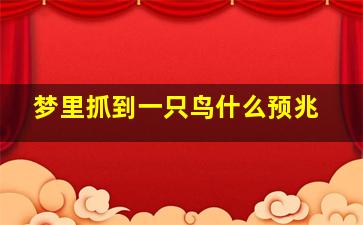 梦里抓到一只鸟什么预兆