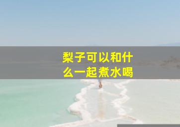 梨子可以和什么一起煮水喝