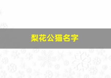 梨花公猫名字