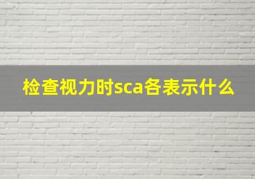 检查视力时sca各表示什么