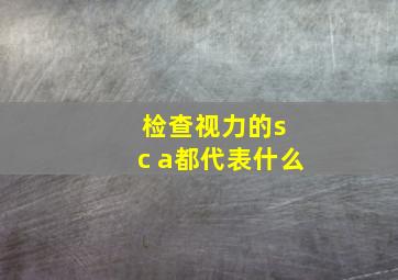 检查视力的s c a都代表什么