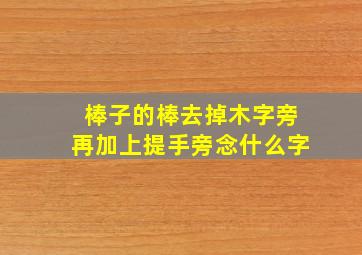 棒子的棒去掉木字旁再加上提手旁念什么字