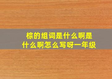 棕的组词是什么啊是什么啊怎么写呀一年级