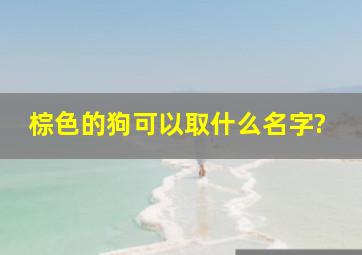 棕色的狗可以取什么名字?