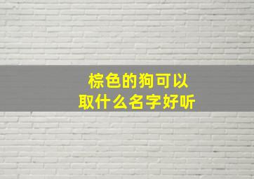 棕色的狗可以取什么名字好听