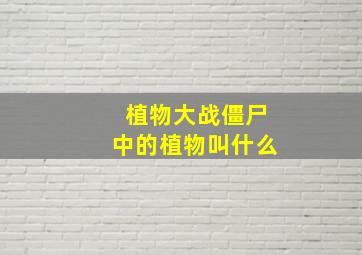 植物大战僵尸中的植物叫什么