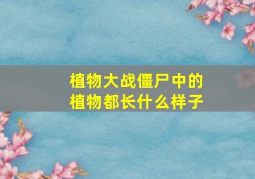 植物大战僵尸中的植物都长什么样子