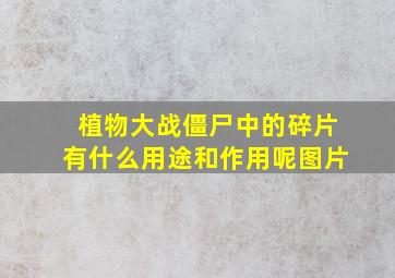 植物大战僵尸中的碎片有什么用途和作用呢图片