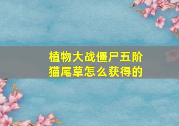 植物大战僵尸五阶猫尾草怎么获得的