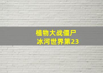 植物大战僵尸冰河世界第23