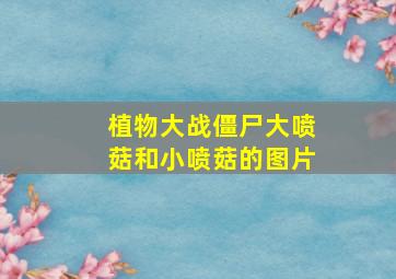 植物大战僵尸大喷菇和小喷菇的图片