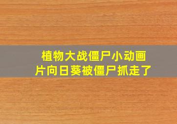 植物大战僵尸小动画片向日葵被僵尸抓走了