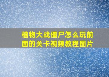 植物大战僵尸怎么玩前面的关卡视频教程图片