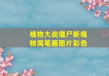 植物大战僵尸新植物简笔画图片彩色