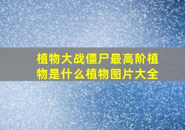 植物大战僵尸最高阶植物是什么植物图片大全