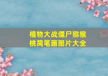 植物大战僵尸猕猴桃简笔画图片大全