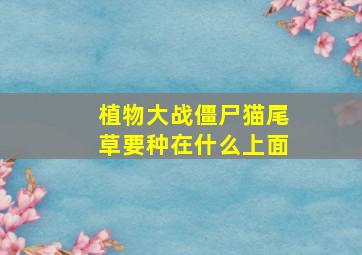 植物大战僵尸猫尾草要种在什么上面