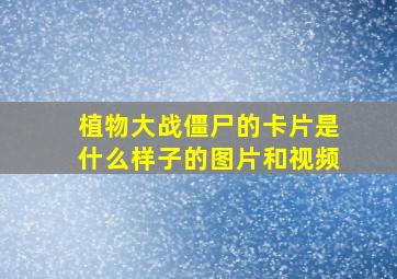 植物大战僵尸的卡片是什么样子的图片和视频