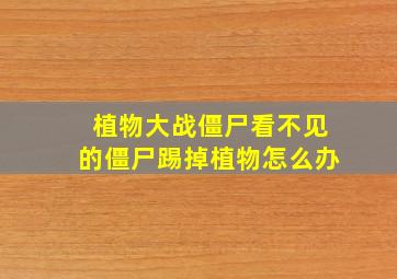 植物大战僵尸看不见的僵尸踢掉植物怎么办