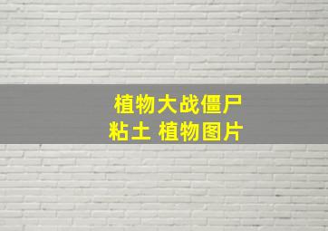 植物大战僵尸粘土 植物图片