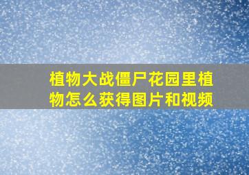 植物大战僵尸花园里植物怎么获得图片和视频