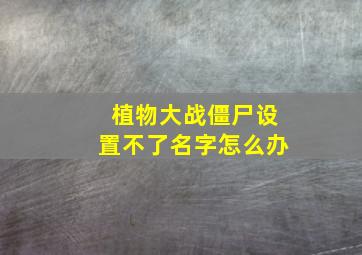 植物大战僵尸设置不了名字怎么办