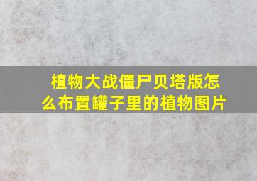 植物大战僵尸贝塔版怎么布置罐子里的植物图片