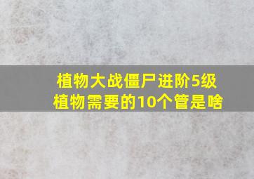 植物大战僵尸进阶5级植物需要的10个管是啥